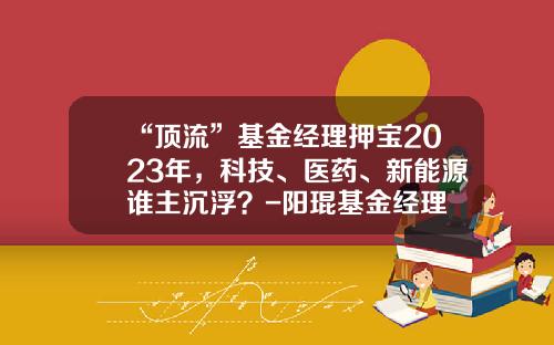 “顶流”基金经理押宝2023年，科技、医药、新能源谁主沉浮？-阳琨基金经理