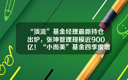 “顶流”基金经理最新持仓出炉，张坤管理规模近900亿！“小而美”基金四季度增速居前，3只基金净值增逾30%-基金经理张坤