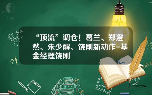 “顶流”调仓！葛兰、郑澄然、朱少醒、饶刚新动作-基金经理饶刚
