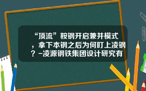 “顶流”鞍钢开启兼并模式，拿下本钢之后为何盯上凌钢？-凌源钢铁集团设计研究有限公司