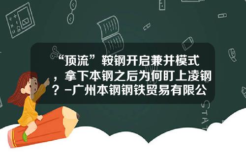 “顶流”鞍钢开启兼并模式，拿下本钢之后为何盯上凌钢？-广州本钢钢铁贸易有限公司