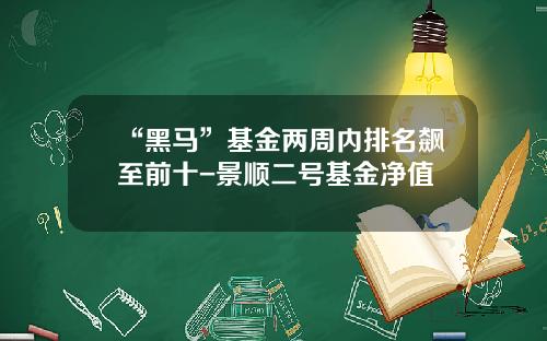 “黑马”基金两周内排名飙至前十-景顺二号基金净值