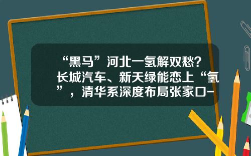“黑马”河北一氢解双愁？长城汽车、新天绿能恋上“氢”，清华系深度布局张家口-张家口本地上市公司