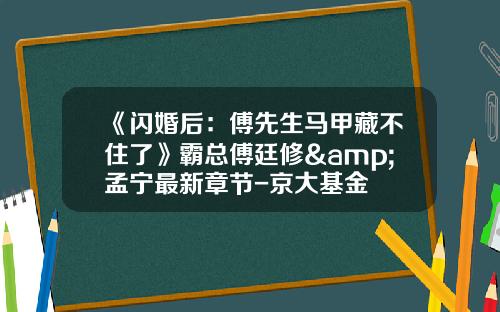 《闪婚后：傅先生马甲藏不住了》霸总傅廷修&孟宁最新章节-京大基金