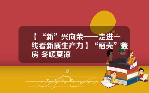 【“新”兴向荣——走进一线看新质生产力】“稻壳”盖房 冬暖夏凉