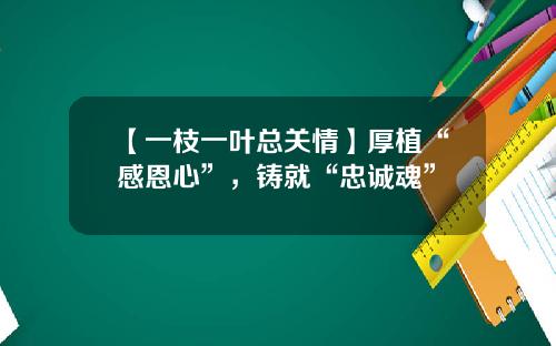 【一枝一叶总关情】厚植“感恩心”，铸就“忠诚魂”