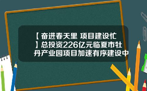 【奋进春天里 项目建设忙】总投资226亿元临夏市牡丹产业园项目加速有序建设中