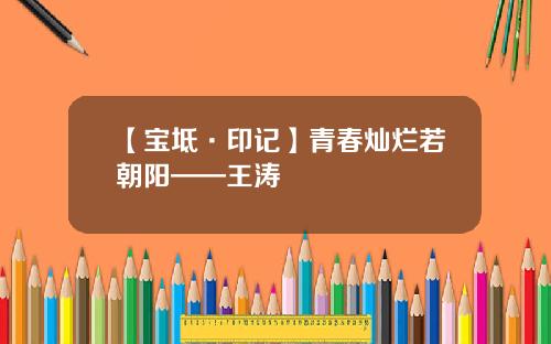 【宝坻·印记】青春灿烂若朝阳——王涛