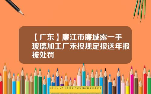 【广东】廉江市廉城露一手玻璃加工厂未按规定报送年报被处罚