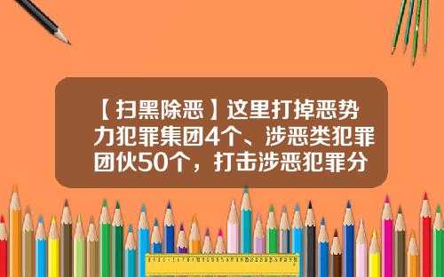 【扫黑除恶】这里打掉恶势力犯罪集团4个、涉恶类犯罪团伙50个，打击涉恶犯罪分子、霸痞分子301人……