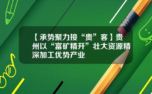 【承势聚力接“贵”客】贵州以“富矿精开”壮大资源精深加工优势产业