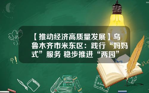 【推动经济高质量发展】乌鲁木齐市米东区：践行“妈妈式”服务 稳步推进“两园”建设