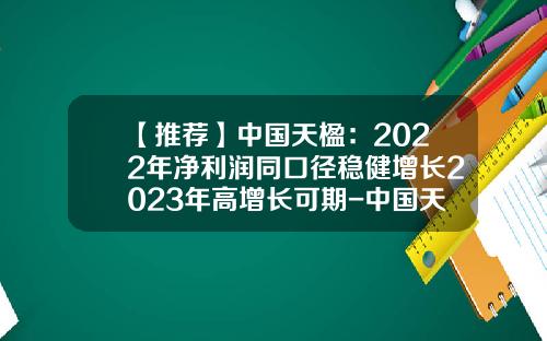 【推荐】中国天楹：2022年净利润同口径稳健增长2023年高增长可期-中国天楹环保能源股份有限公司