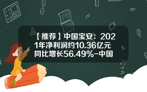 【推荐】中国宝安：2021年净利润约10.36亿元同比增长56.49%-中国宝安集团股份有限公司2010年报