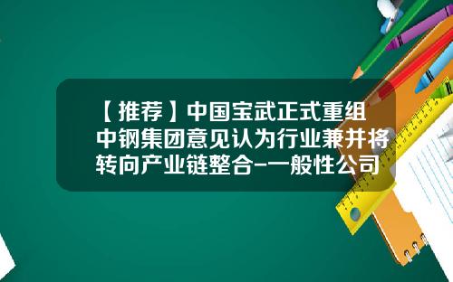 【推荐】中国宝武正式重组中钢集团意见认为行业兼并将转向产业链整合-一般性公司兼并重组公告函