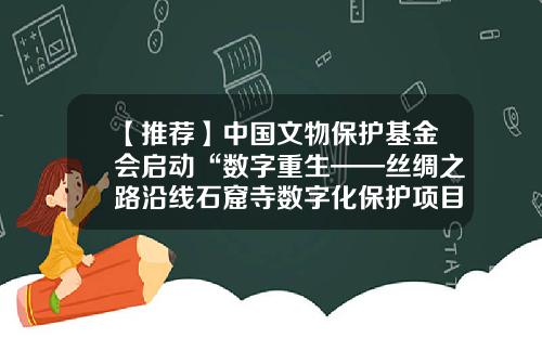 【推荐】中国文物保护基金会启动“数字重生——丝绸之路沿线石窟寺数字化保护项目”-重生基金会