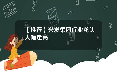 【推荐】兴发集团行业龙头大幅走高