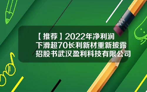 【推荐】2022年净利润下滑超70长利新材重新披露招股书武汉盈利科技有限公司