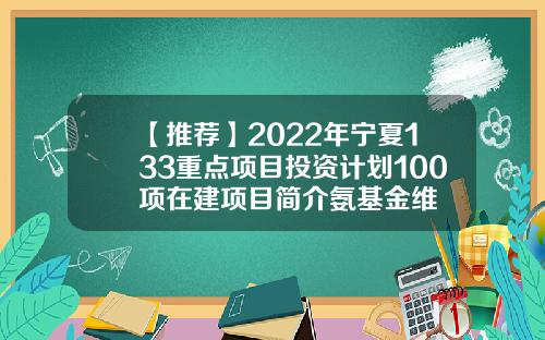 【推荐】2022年宁夏133重点项目投资计划100项在建项目简介氨基金维