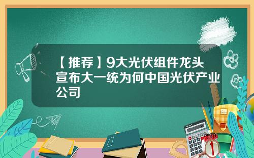 【推荐】9大光伏组件龙头宣布大一统为何中国光伏产业公司