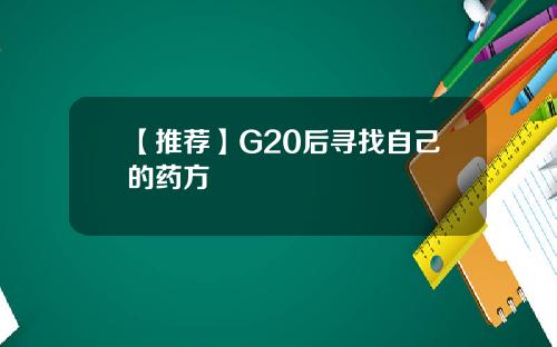 【推荐】G20后寻找自己的药方