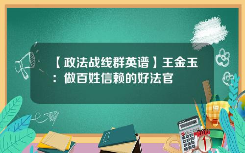【政法战线群英谱】王金玉：做百姓信赖的好法官