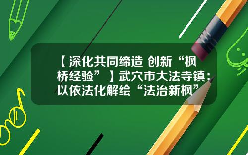 【深化共同缔造 创新“枫桥经验”】武穴市大法寺镇：以依法化解绘“法治新枫”
