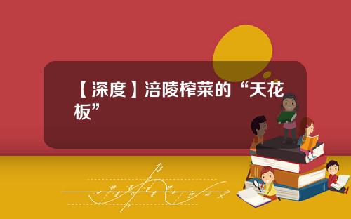 【深度】涪陵榨菜的“天花板”