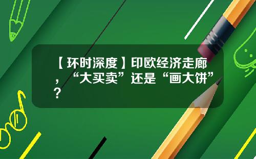 【环时深度】印欧经济走廊，“大买卖”还是“画大饼”？