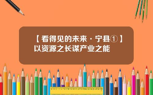 【看得见的未来·宁县①】以资源之长谋产业之能