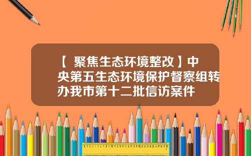 【 聚焦生态环境整改】中央第五生态环境保护督察组转办我市第十二批信访案件