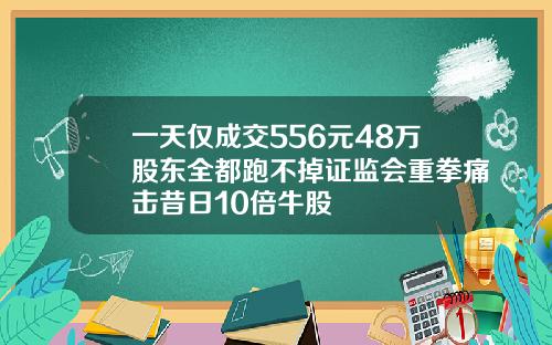 一天仅成交556元48万股东全都跑不掉证监会重拳痛击昔日10倍牛股
