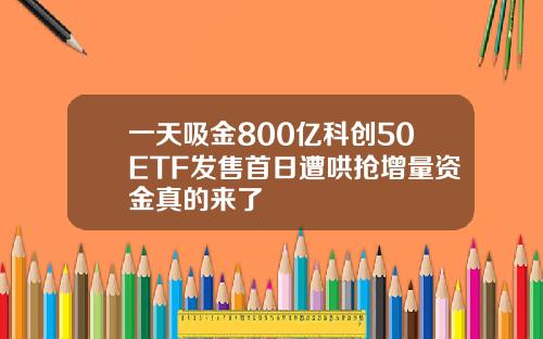 一天吸金800亿科创50ETF发售首日遭哄抢增量资金真的来了