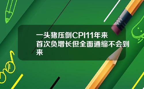 一头猪压倒CPI11年来首次负增长但全面通缩不会到来