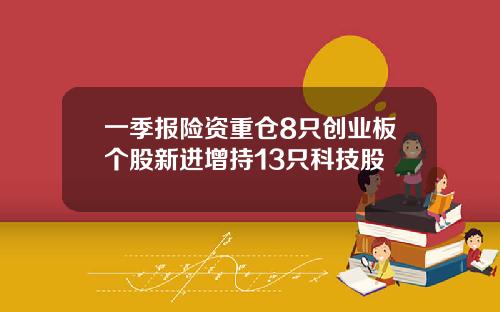 一季报险资重仓8只创业板个股新进增持13只科技股