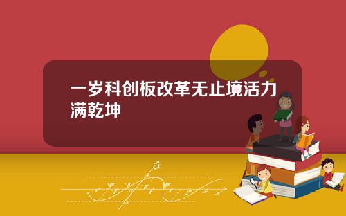 一岁科创板改革无止境活力满乾坤