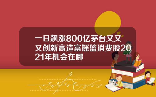 一日飙涨800亿茅台又又又创新高造富摇篮消费股2021年机会在哪