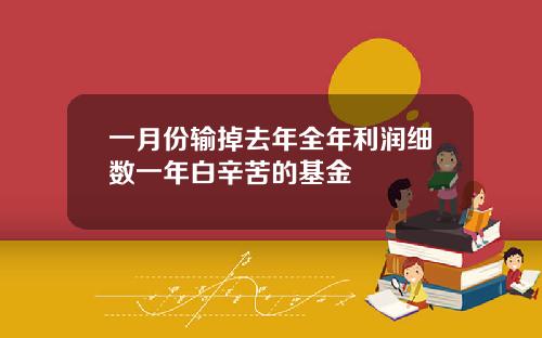 一月份输掉去年全年利润细数一年白辛苦的基金