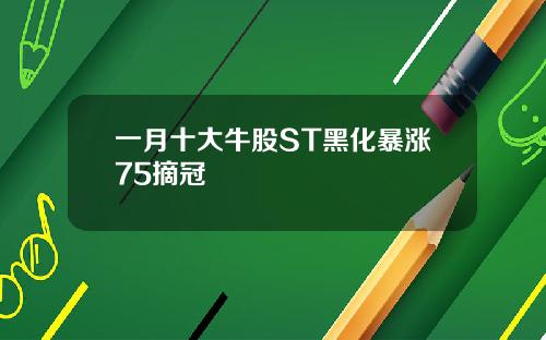 一月十大牛股ST黑化暴涨75摘冠