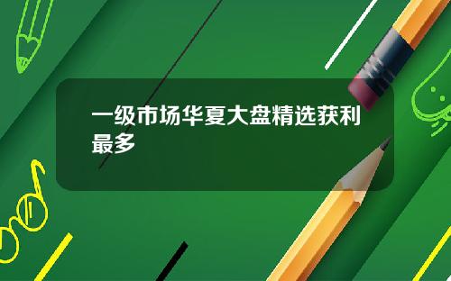 一级市场华夏大盘精选获利最多