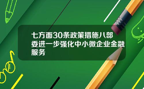 七方面30条政策措施八部委进一步强化中小微企业金融服务