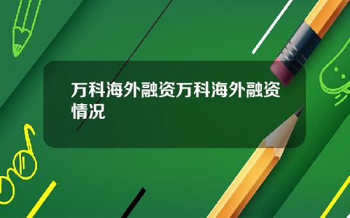 万科海外融资万科海外融资情况