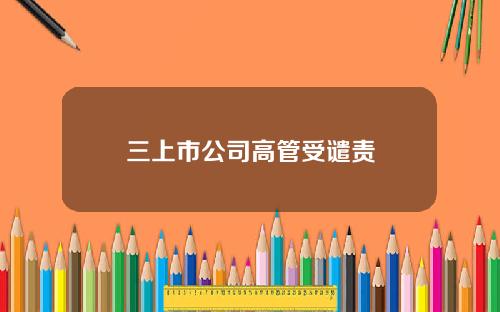 三上市公司高管受谴责