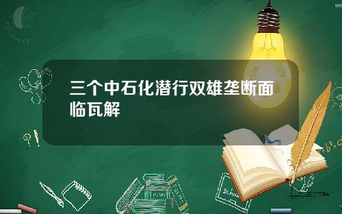 三个中石化潜行双雄垄断面临瓦解