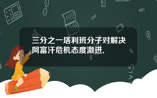 三分之一塔利班分子对解决阿富汗危机态度激进.