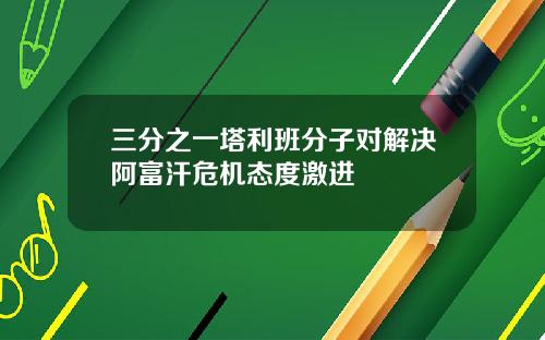 三分之一塔利班分子对解决阿富汗危机态度激进