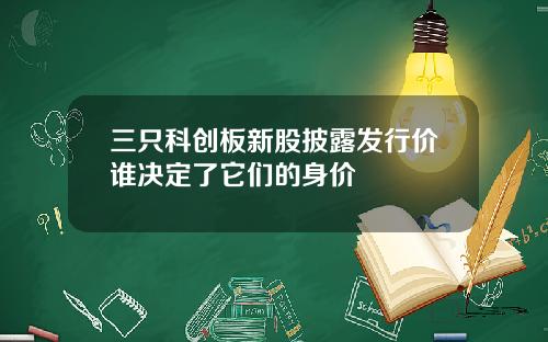 三只科创板新股披露发行价谁决定了它们的身价