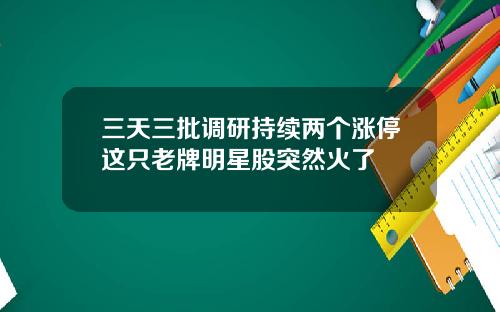 三天三批调研持续两个涨停这只老牌明星股突然火了