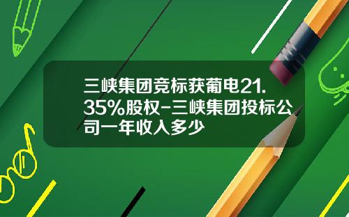 三峡集团竞标获葡电21.35%股权-三峡集团投标公司一年收入多少