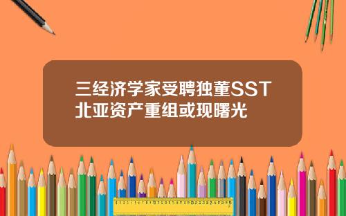 三经济学家受聘独董SST北亚资产重组或现曙光